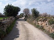 Cami De Foravila